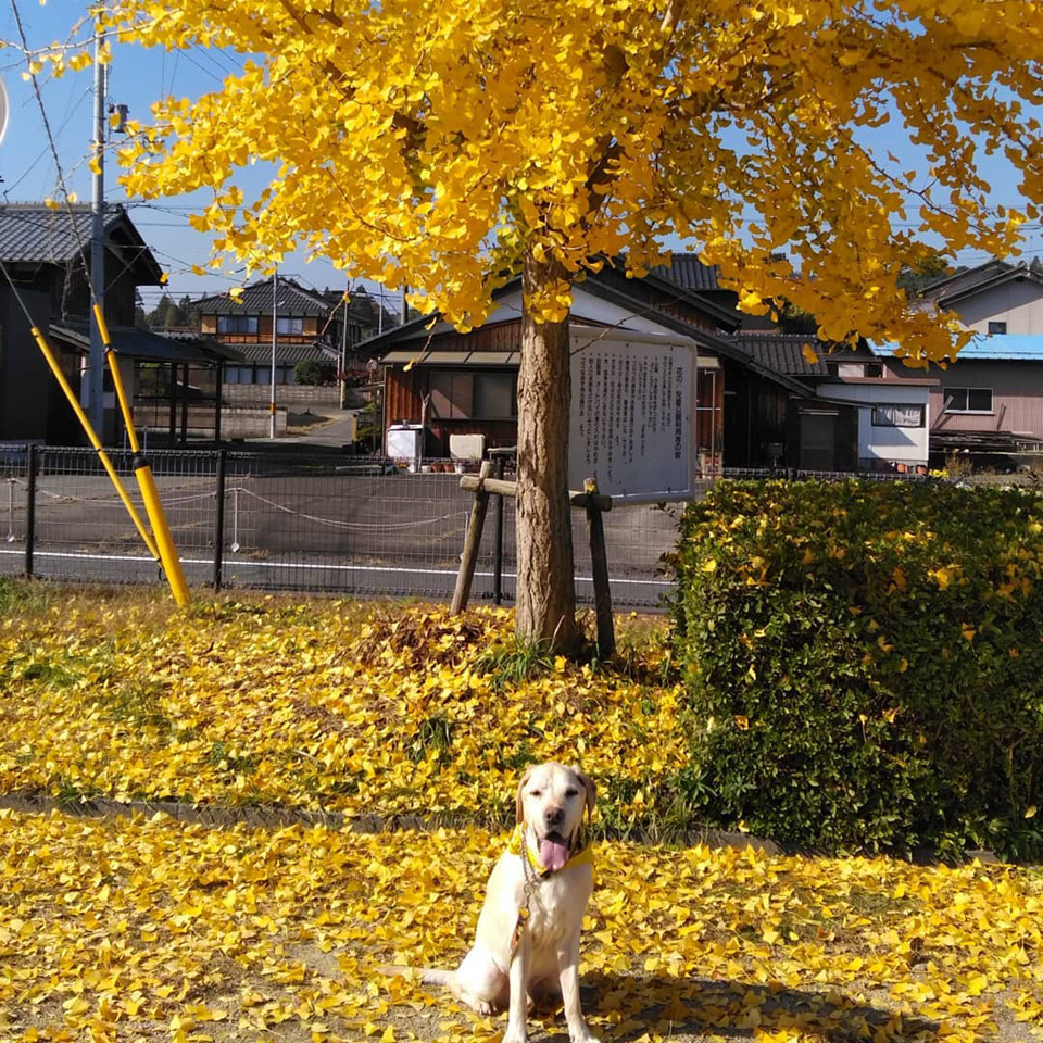 126093526_3337872646323046_.jpg 126093526_3337872646323046_.jpg