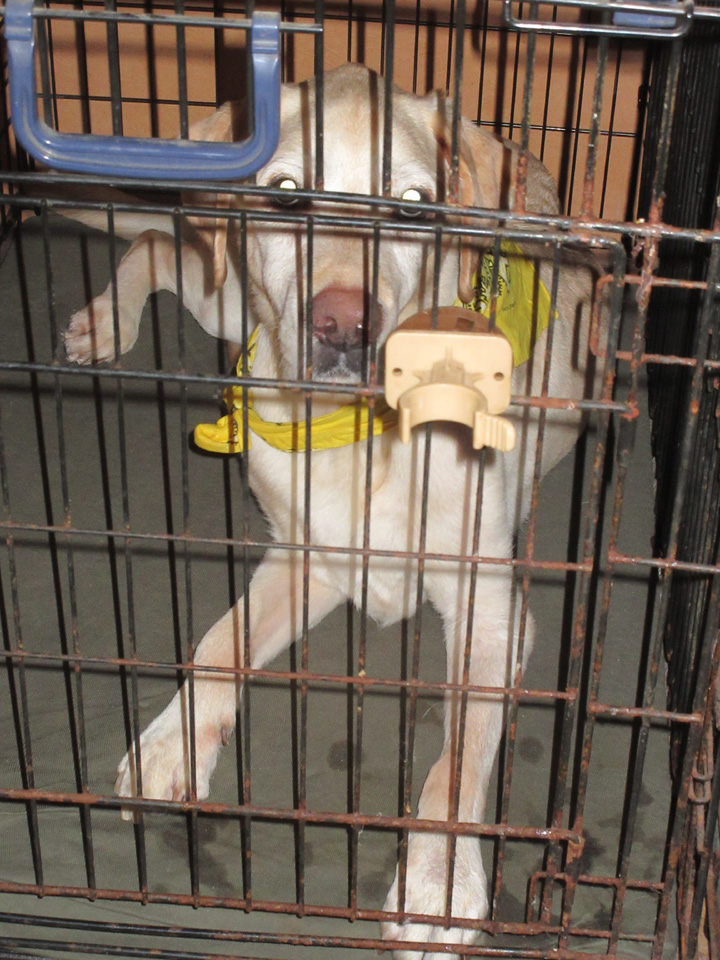 IMG_1342.jpg IMG_1342.jpg