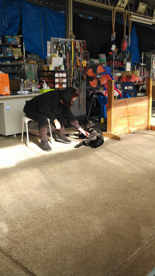 KIMG0110.jpg KIMG0110.jpg