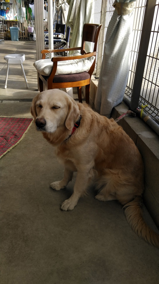 KIMG0111.jpg KIMG0111.jpg