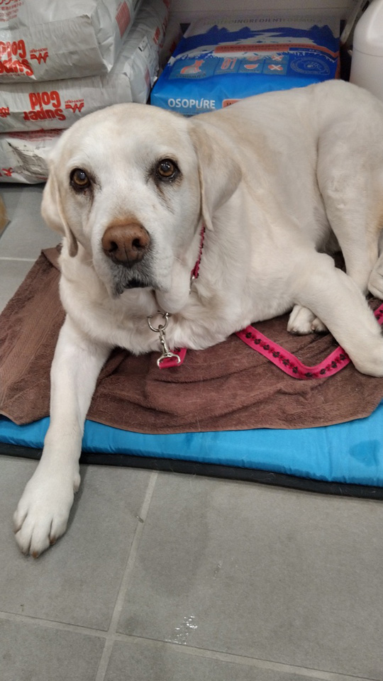 KIMG0113.jpg KIMG0113.jpg