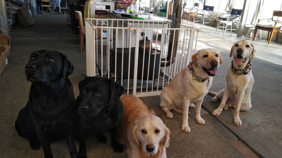 KIMG0115.jpg KIMG0115.jpg