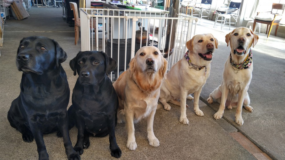 KIMG0116.jpg KIMG0116.jpg