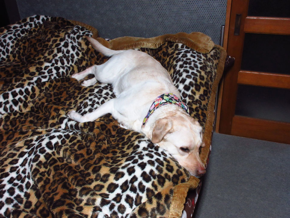 IMG_1366.jpg IMG_1366.jpg