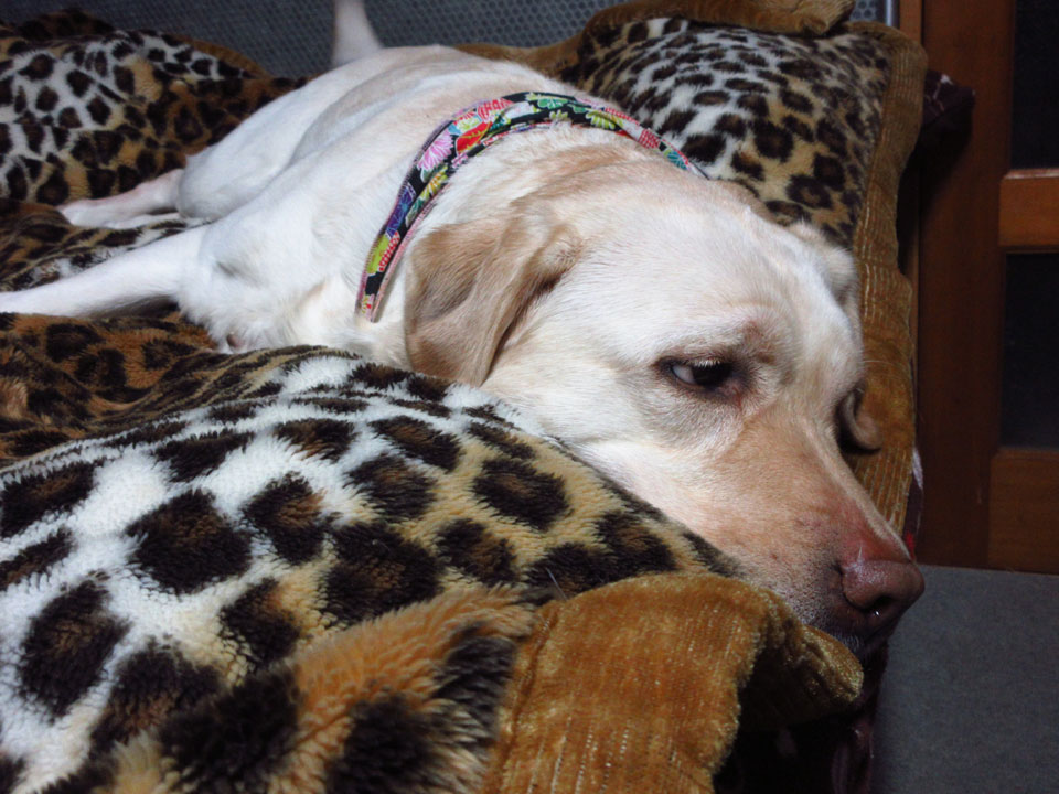 IMG_1367.jpg IMG_1367.jpg