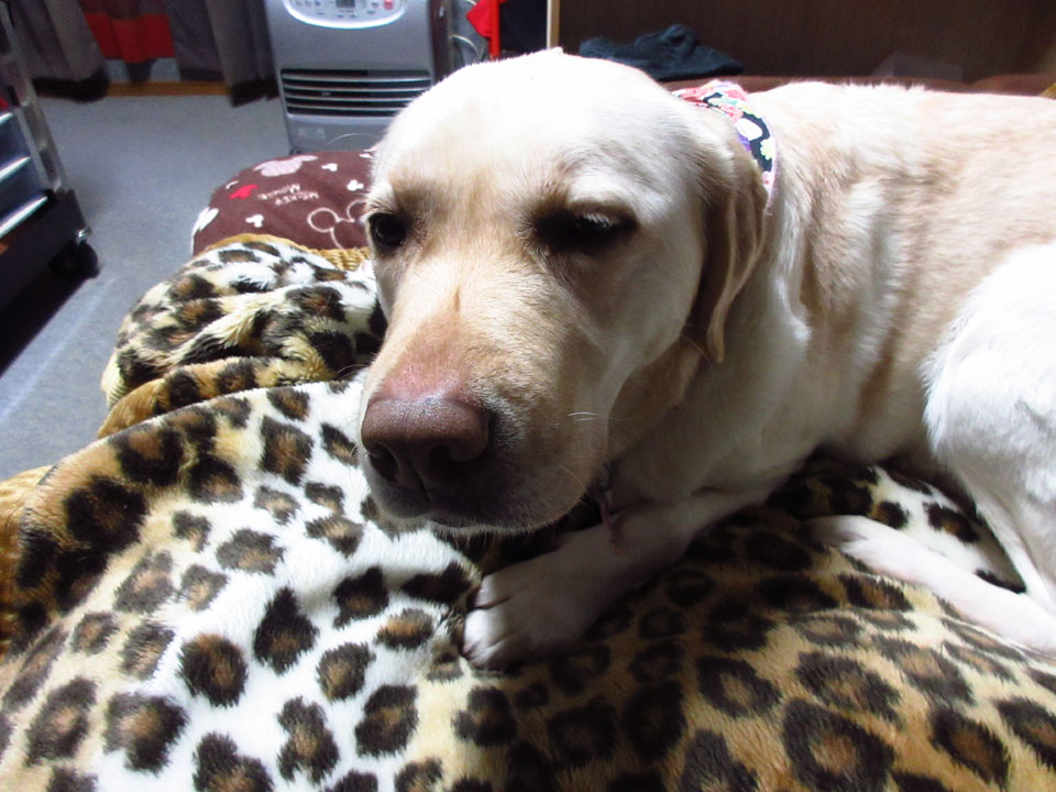 IMG_1369.jpg IMG_1369.jpg