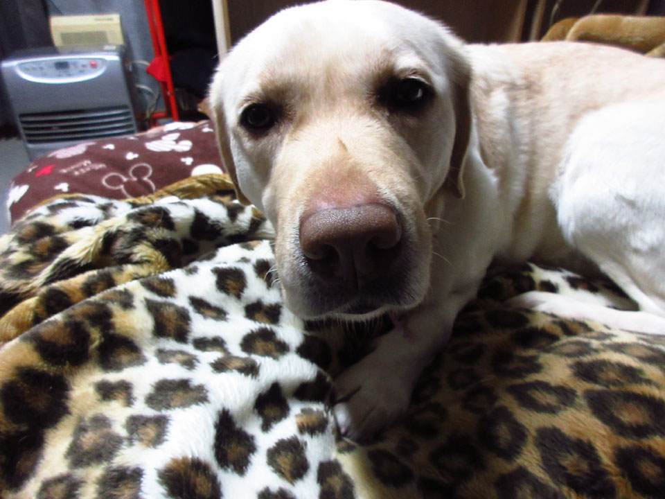 IMG_1370.jpg IMG_1370.jpg