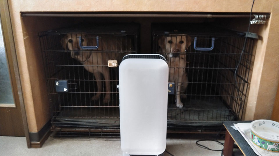 1KIMG0149.jpg 1KIMG0149.jpg