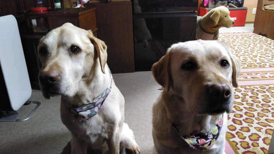 2KIMG0147.jpg 2KIMG0147.jpg