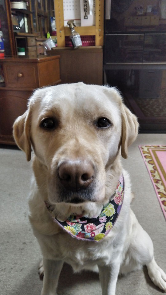 3KIMG0145.jpg 3KIMG0145.jpg