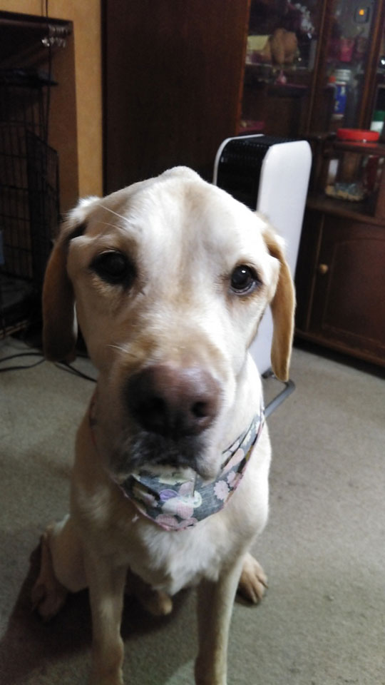 4KIMG0146.jpg 4KIMG0146.jpg