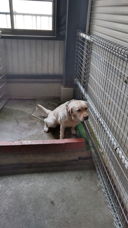 5KIMG0150.jpg 5KIMG0150.jpg