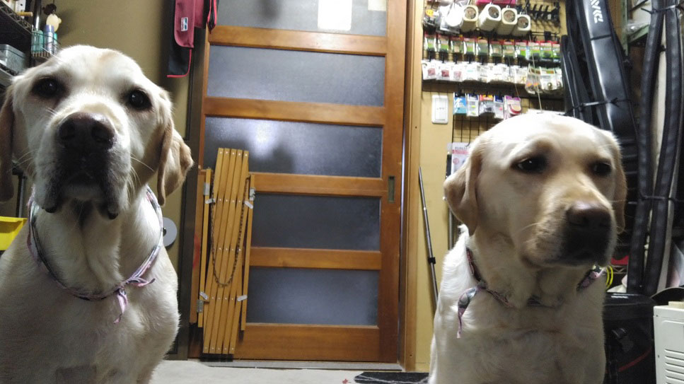 6KIMG0152.jpg 6KIMG0152.jpg