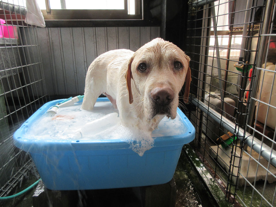 IMG_1564.jpg IMG_1564.jpg