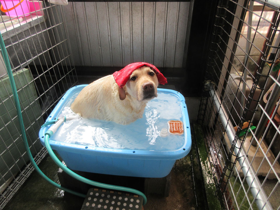 IMG_1565.jpg IMG_1565.jpg