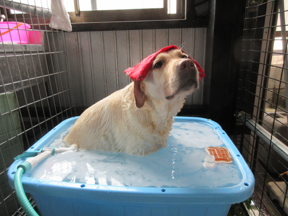 IMG_1566.jpg IMG_1566.jpg