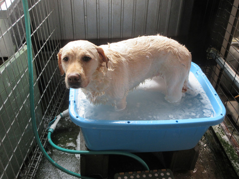 IMG_1567.jpg IMG_1567.jpg