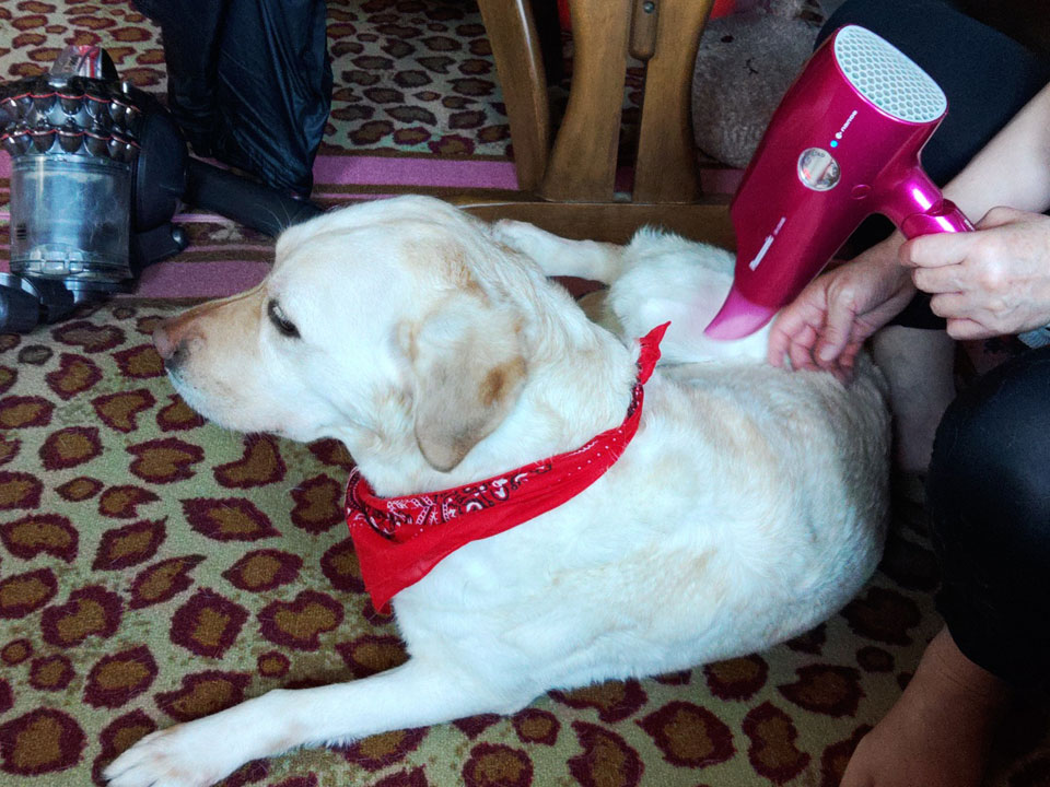 KIMG0021.jpg KIMG0021.jpg