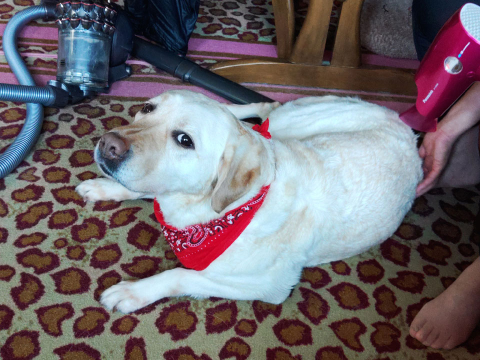 KIMG0022.jpg KIMG0022.jpg