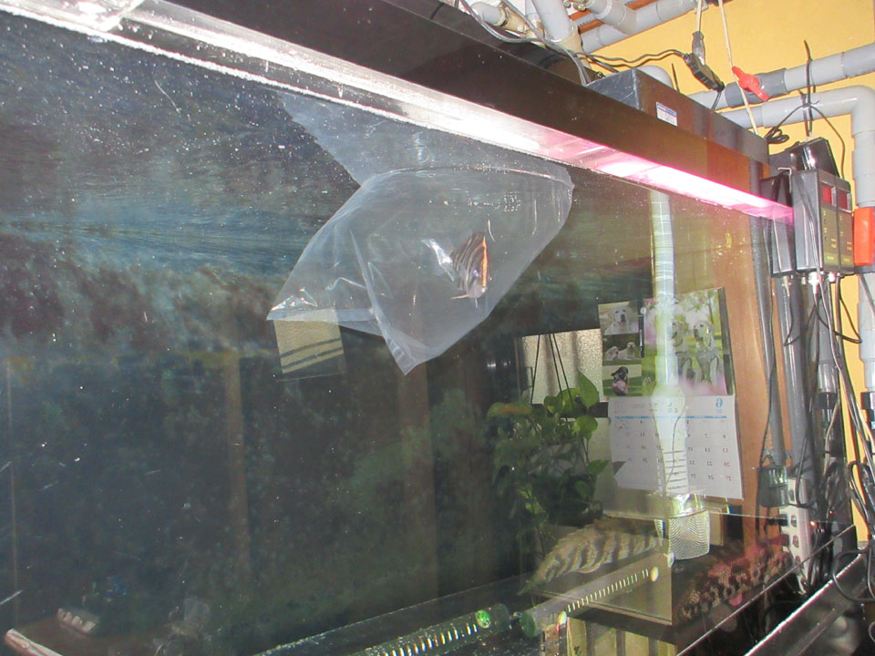 IMG_1609.jpg IMG_1609.jpg