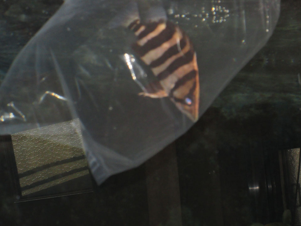 IMG_1610.jpg IMG_1610.jpg