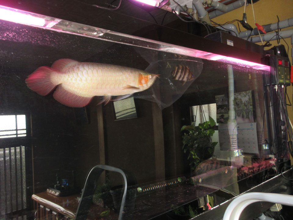 IMG_1611.jpg IMG_1611.jpg