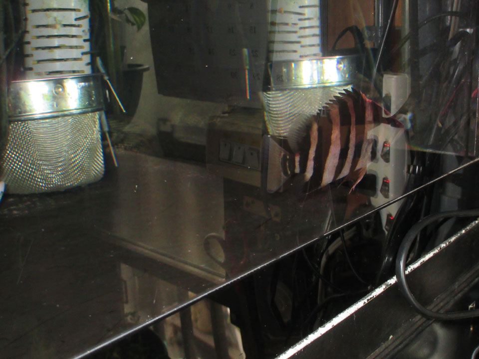 IMG_1613.jpg IMG_1613.jpg