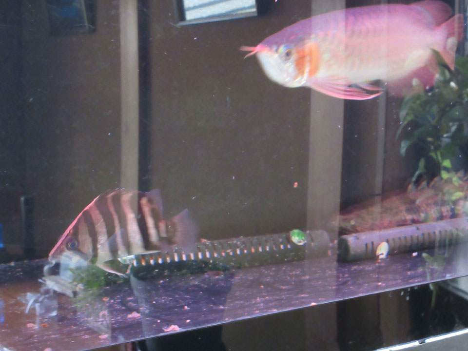 IMG_1616.jpg IMG_1616.jpg