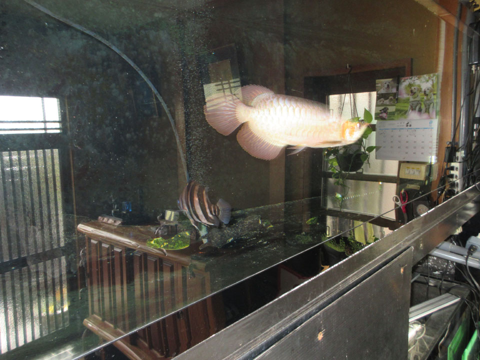 IMG_1617.jpg IMG_1617.jpg