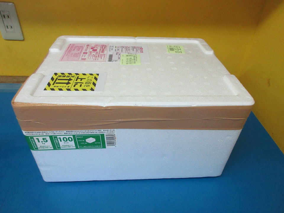 IMG_1673.jpg IMG_1673.jpg