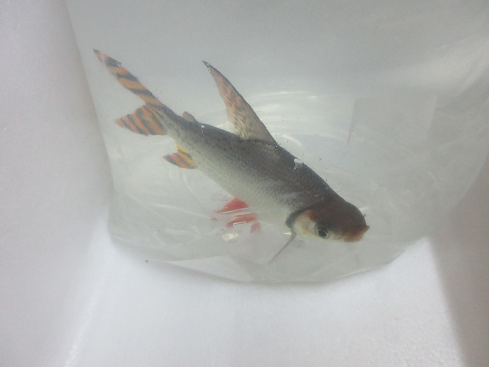 IMG_1674.jpg IMG_1674.jpg