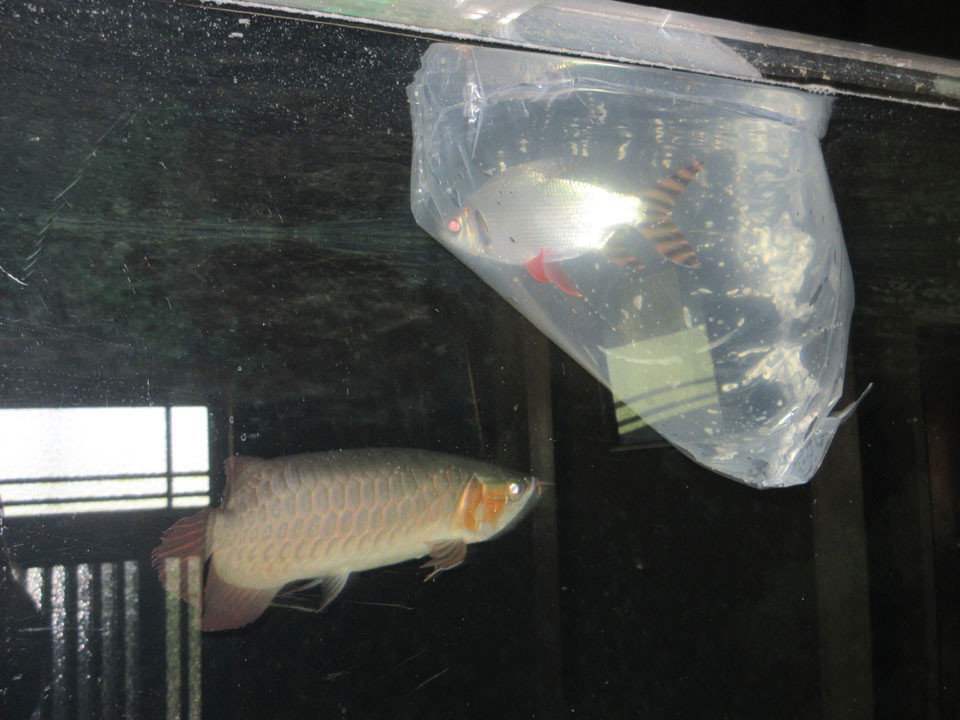 IMG_1675.jpg IMG_1675.jpg