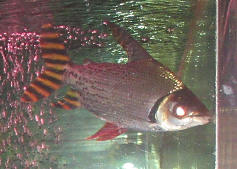 IMG_1698.jpg IMG_1698.jpg