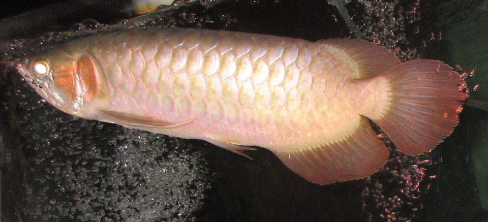 IMG_1698a.jpg IMG_1698a.jpg