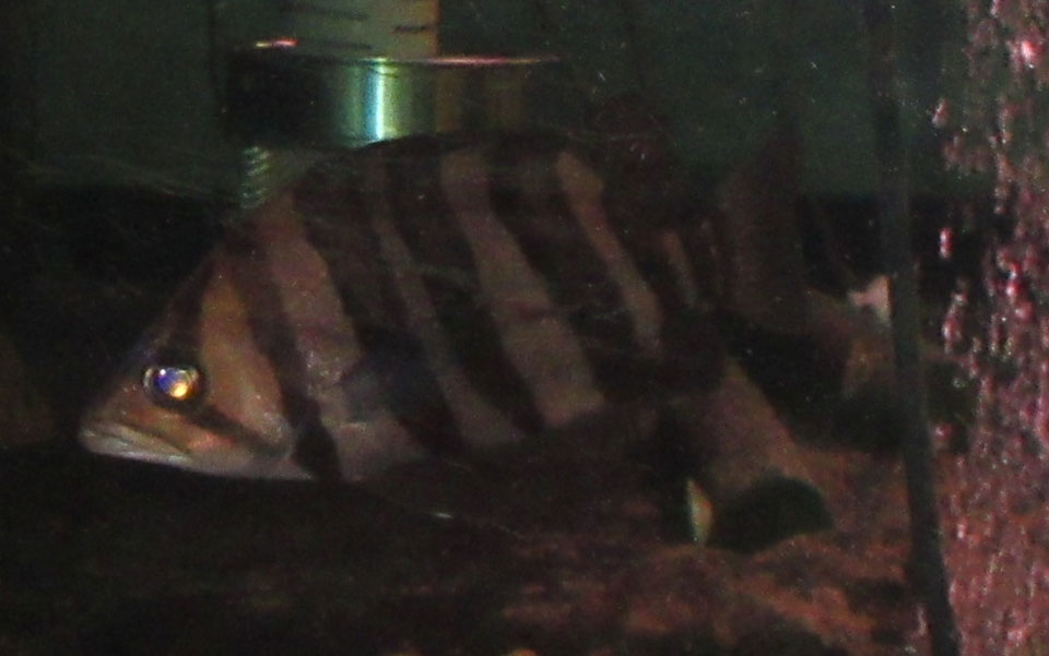 IMG_1698d.jpg IMG_1698d.jpg