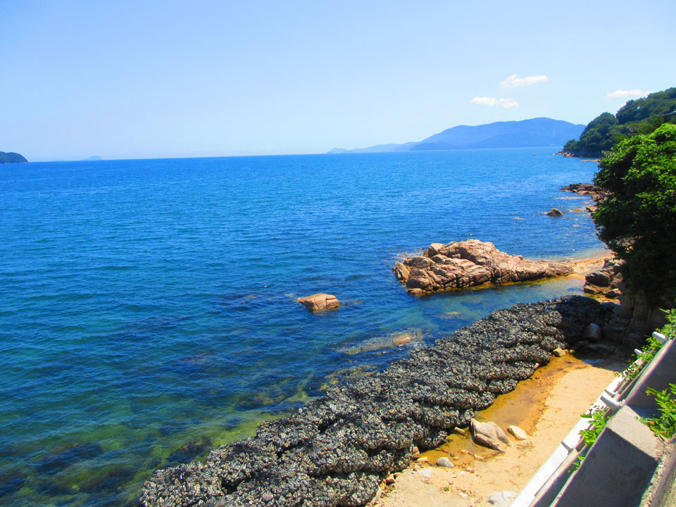 IMG_41704.jpg IMG_41704.jpg