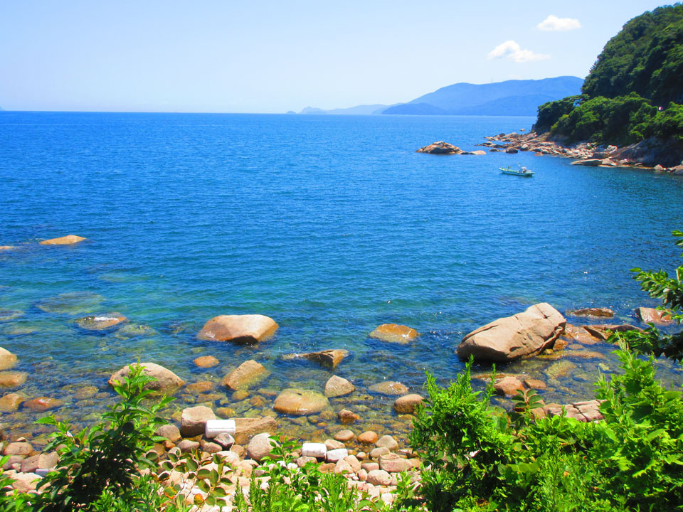 IMG_51709.jpg IMG_51709.jpg