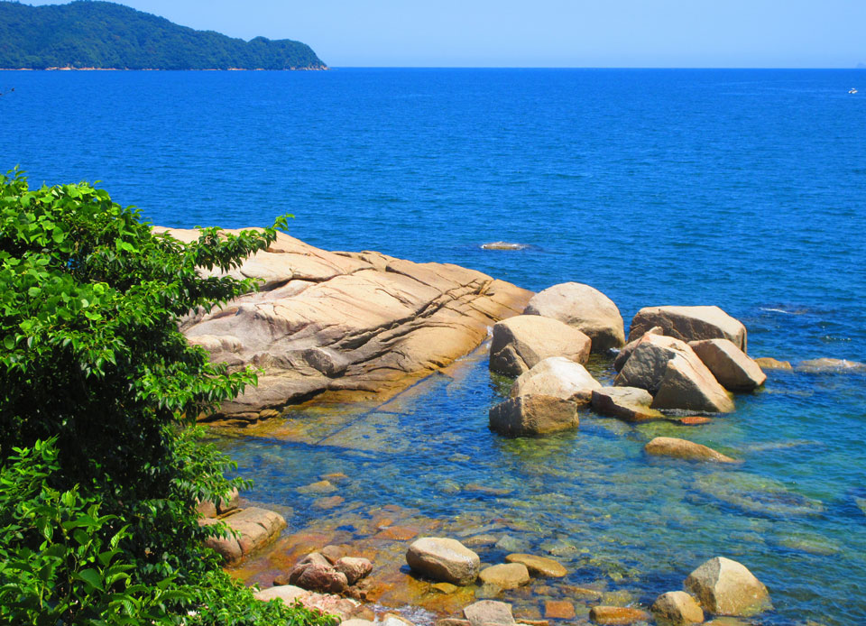 IMG_61711.jpg IMG_61711.jpg