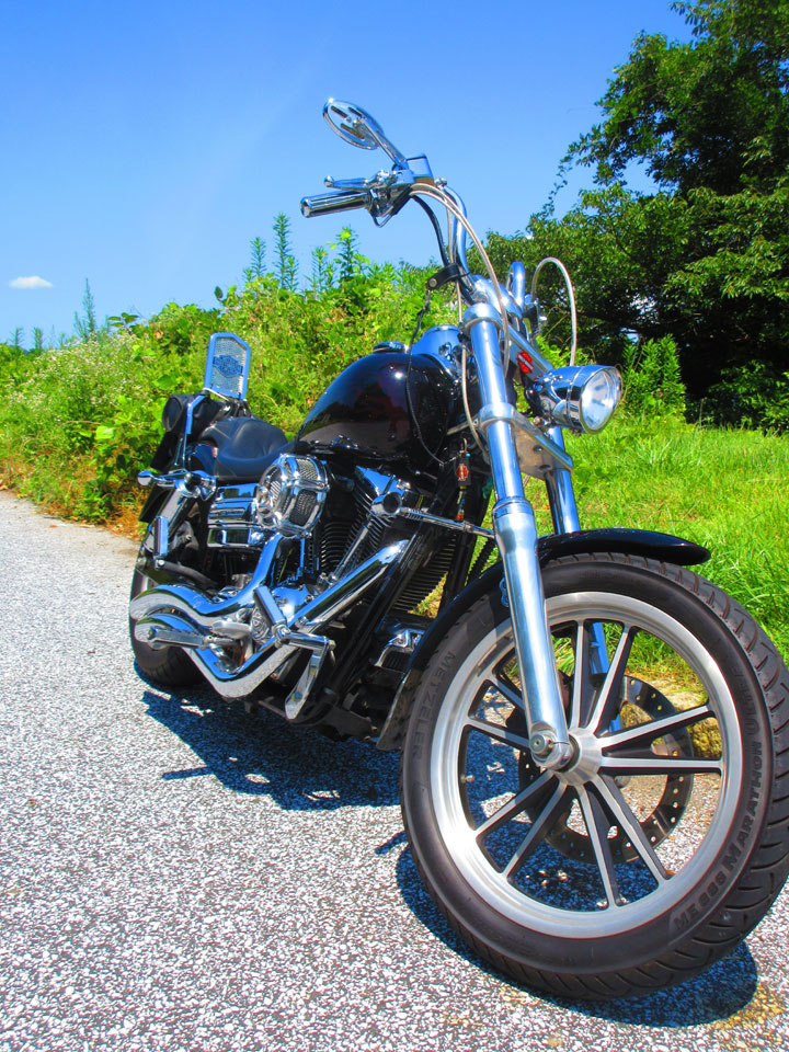 IMG_81714.jpg IMG_81714.jpg