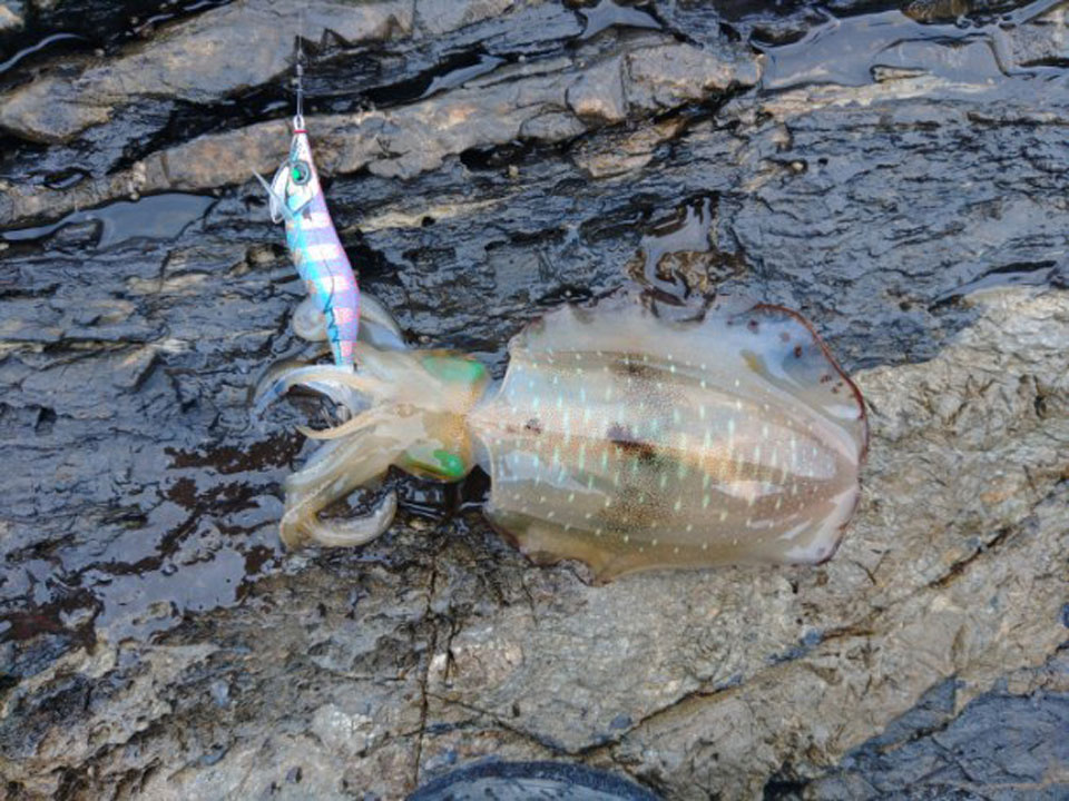 KIMG0083.jpg KIMG0083.jpg