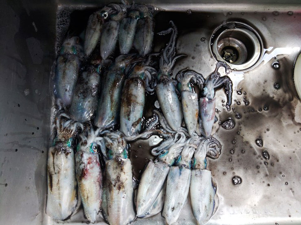 KIMG0087.jpg KIMG0087.jpg