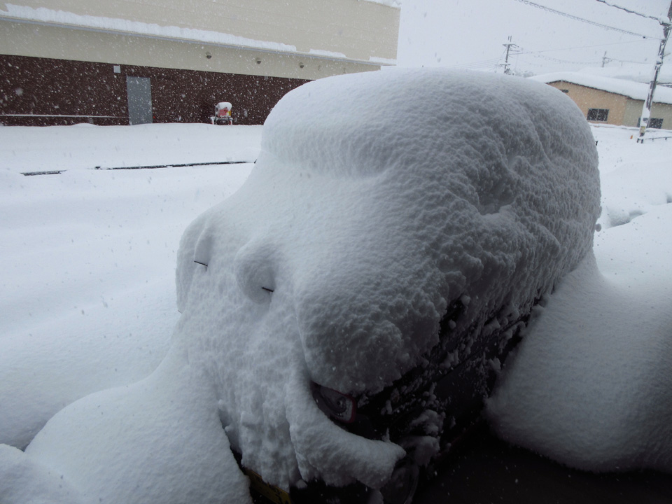 IMG_2002.jpg IMG_2002.jpg