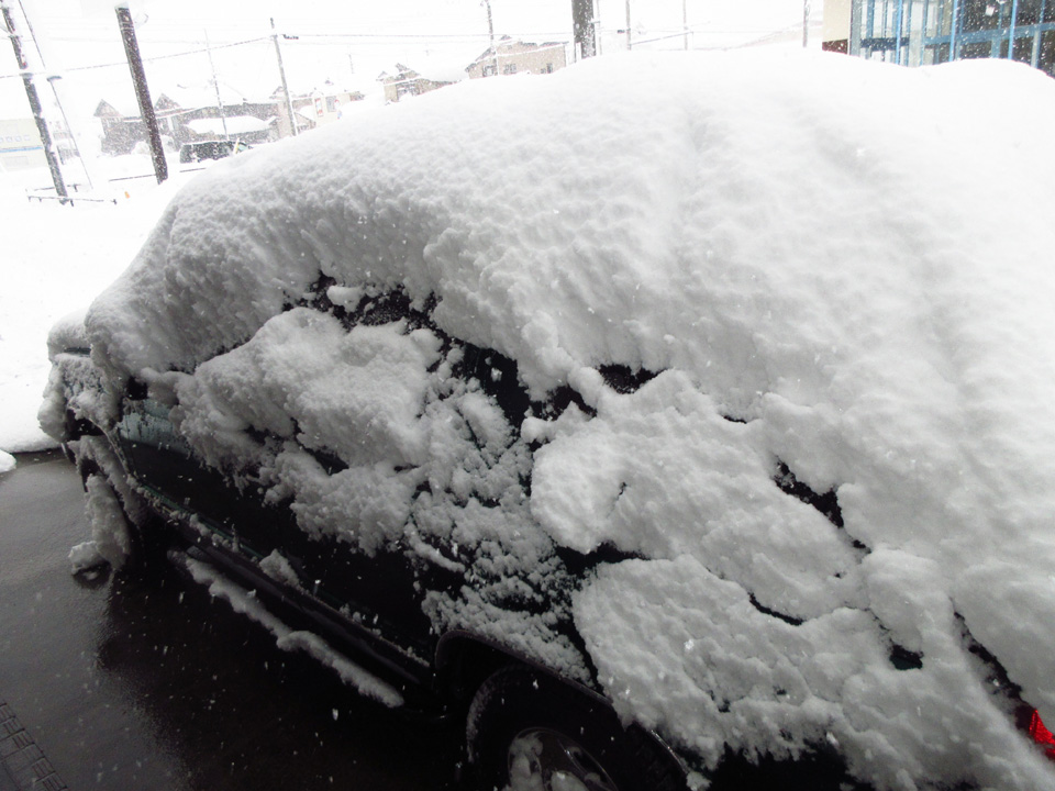 IMG_2003.jpg IMG_2003.jpg