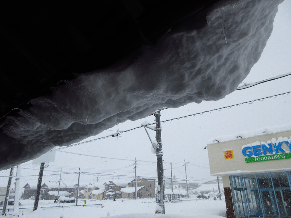 IMG_2004.jpg IMG_2004.jpg