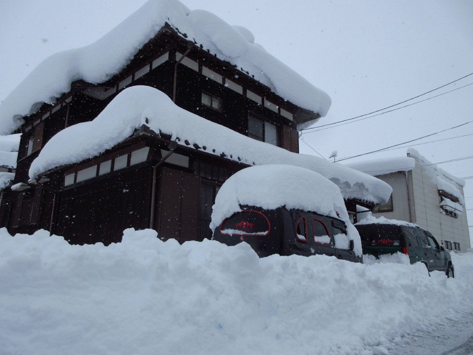 IMG_2008.jpg IMG_2008.jpg