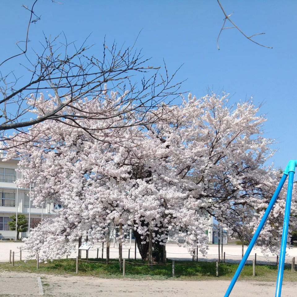 277589205_4847146882062274_.jpg 277589205_4847146882062274_.jpg