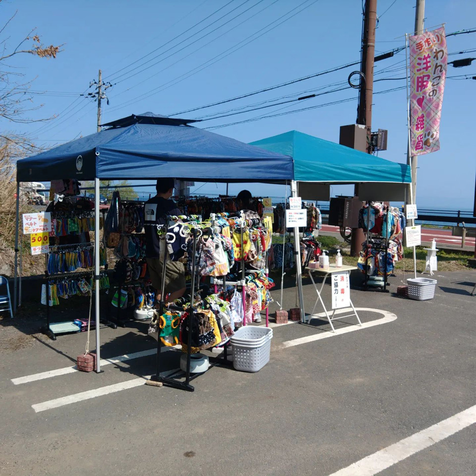 277749849_4847146878728941_.jpg 277749849_4847146878728941_.jpg