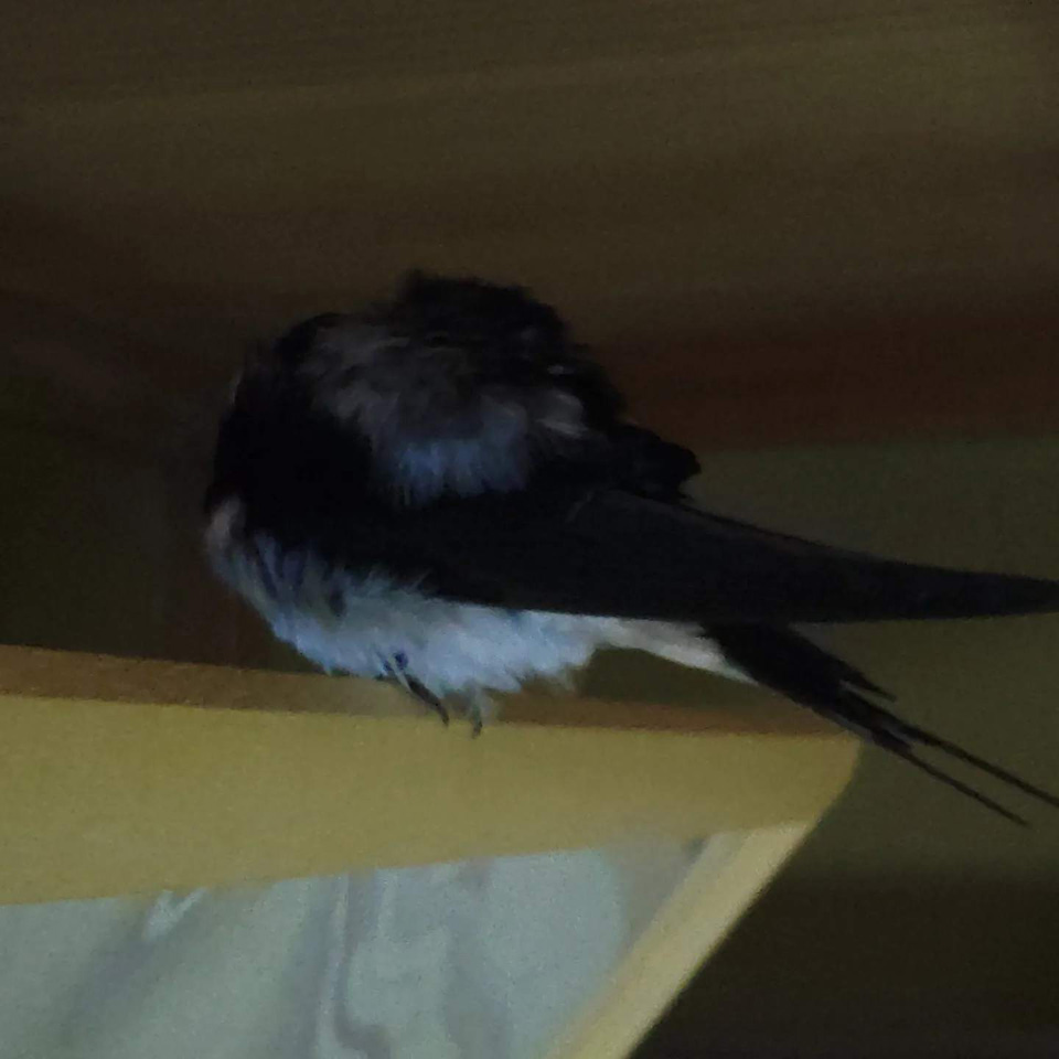 IMG_20220608_230013_076.jpg IMG_20220608_230013_076.jpg