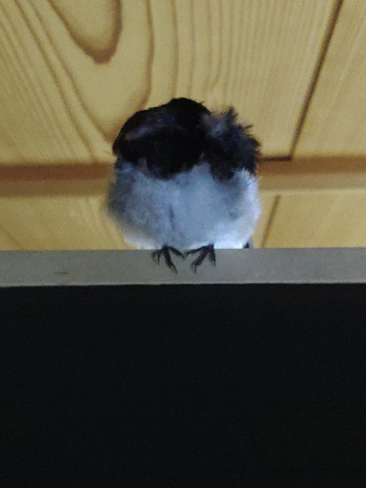 KIMG0374.jpg KIMG0374.jpg