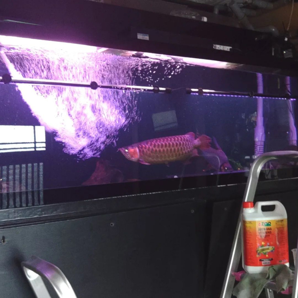 287718806_5026982534078707_.jpg 287718806_5026982534078707_.jpg